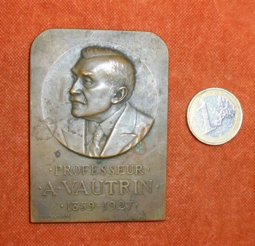 Médaille plaque bronze - plaque,