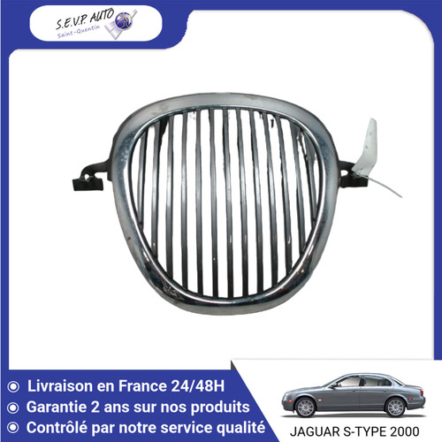 Calandre jaguar - 🇫🇷,