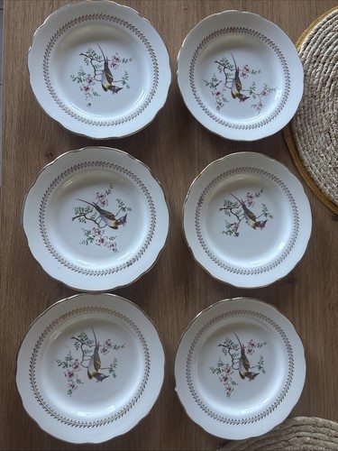 Lot assiettes à - lot,