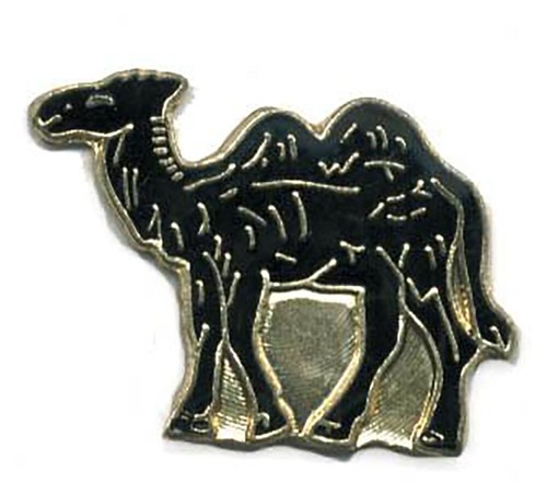 Pack black camel - pack,