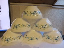 Lot de 6 bols Arcopal Myosotis