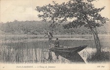 37 Amboise, La forêt étant