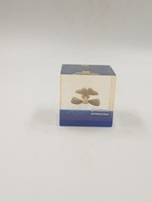 Inclusion Vintage Système Nasal Résine Lucite Années 70's 80 Médecine Curiosité