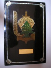 Parachutiste DIODON IV LIBAN