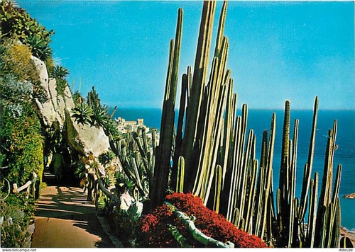 Carte postale fleurs - carte,