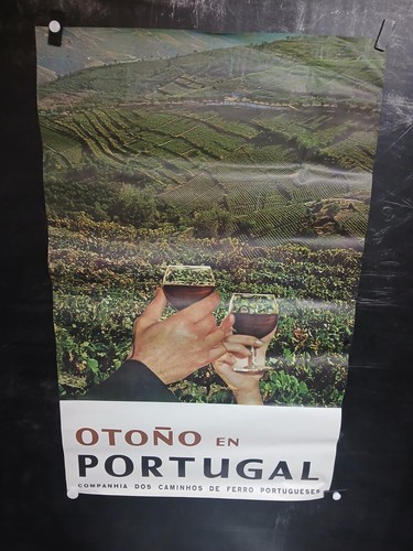 Affiche photo vin - photo,