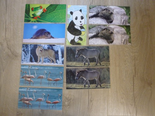Lot jeu cadeaux - /,