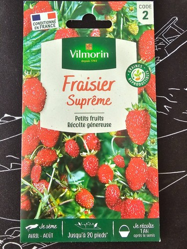 Graines fraisier saisons - graines, 4