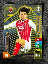 CARD PANINI ADRENALYN XL