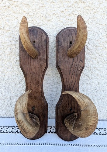 Ancien porte fusil - ancien, râtelier