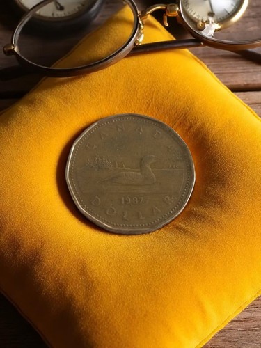 Pièce dollar canada - pièce, 1987