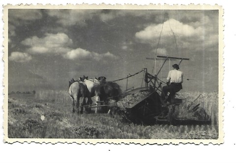 Agriculture carte photo - carte,