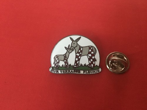 Pins sur terrasse - pins,