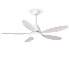 Ventilateur de plafond avec