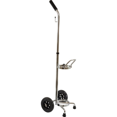 Roscoe medical oxygen cylinder - roscoe,
