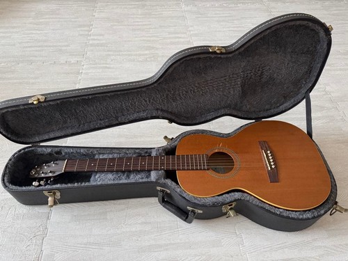 Seagull acoustic guitar with - guitar,