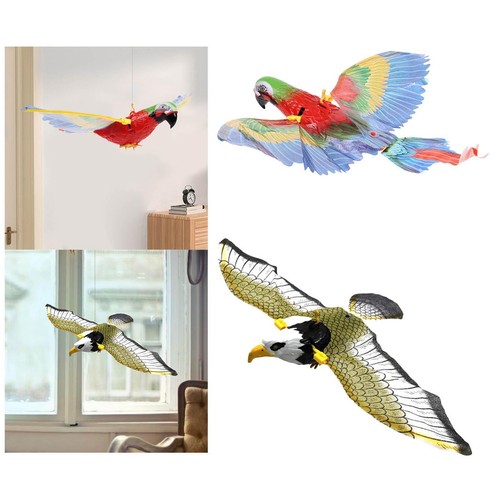 Cerf volant - cerf-volant,