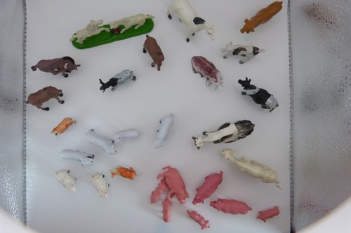Animaux la ferme - "animaux, ferme"