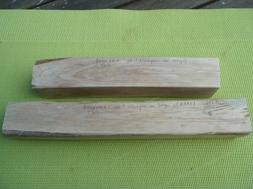 Carrelets bois - carrelets,