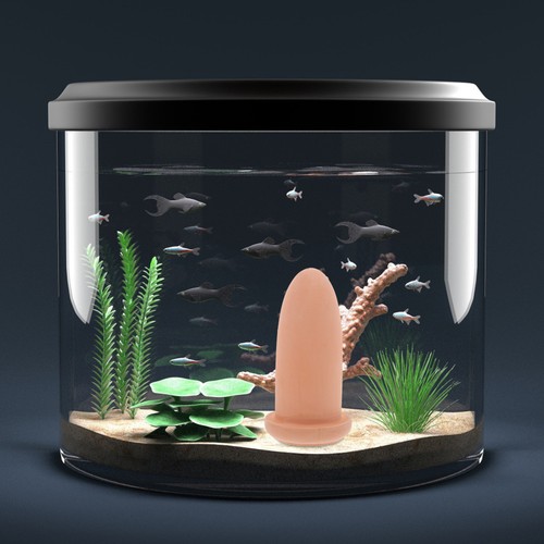 Incubateur À Poissons