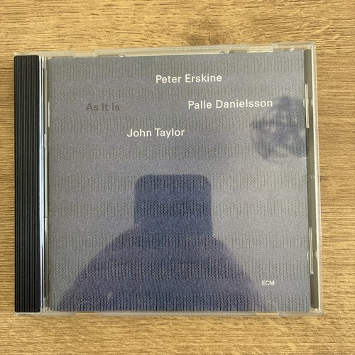 Peter erskine palle danielsson - erskine,