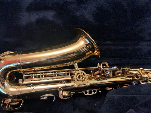 Saxophone alto - saxophone,
