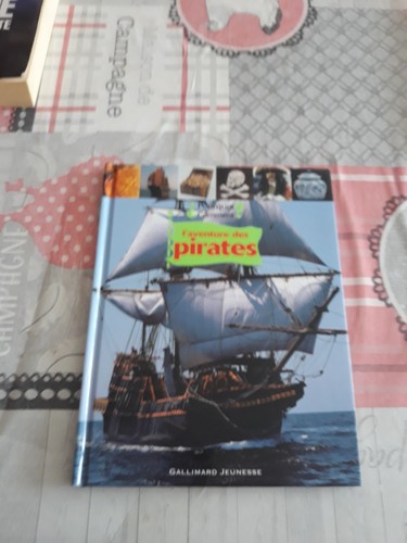 Livre enfant pirates pourquoi - livre,