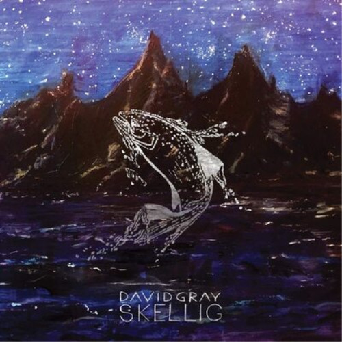 David gray skellig - david, 12"