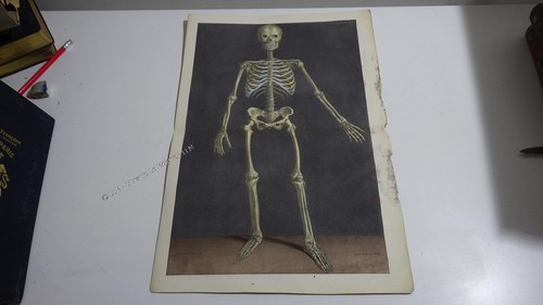 1850 lithographie couleur - 1850.lithographie,