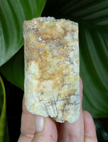 Béryl muscovite compreignac - &,