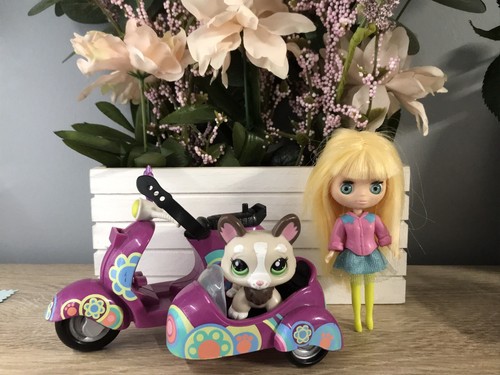 Blythe b15 petshop - +,