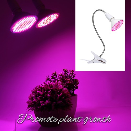 Lampe culture led - culture,