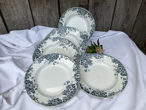 Assiettes anciennes terre - terre, de