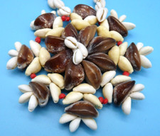 Magnifique collier  pendentif coquillage polynesie