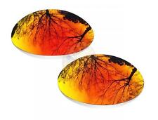 Verres de Rechange Polarisée