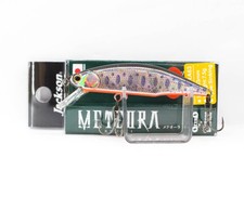 Jackson Meteora 63 Naufrage