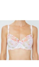 soutien gorge sexy corbeille