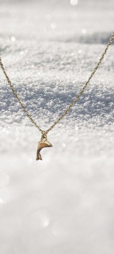 Pendentif collier dauphin - pendentif,