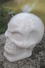 SK169b    TETE  DE MORT CRANE