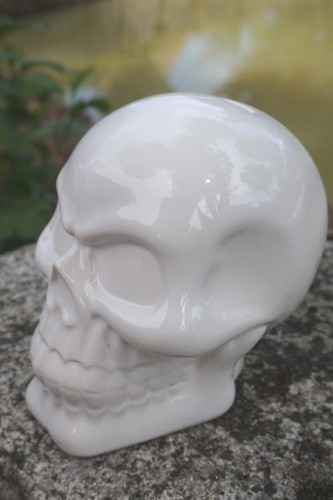 Sk169b tete de - , mort