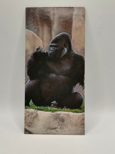 Nestlé merveilles monde - merveilles, du
