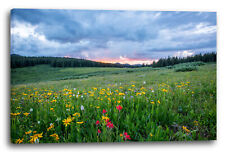 Toile/Cadres Près de fleurs