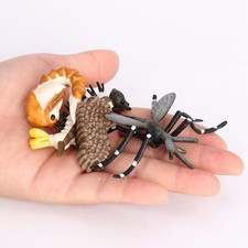 Enfants Enfant Nature Insectes