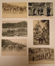 Vintage Postcards. Lot Of 6. Early 1900's. Ceylon. Elephant Themed. Unused. 