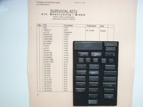 Memorymoog nos survival - memorymoog,