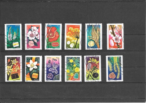 France 2022 fleurs douceurs - 2022,
