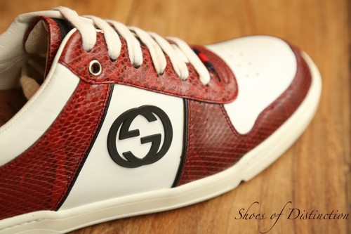 Gucci ace red - gucci, snake
