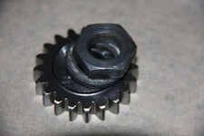 PIGNON PRIMAIRE PRIMARY