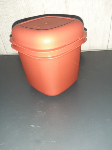 Tupperware boite glaçons - tupperware,