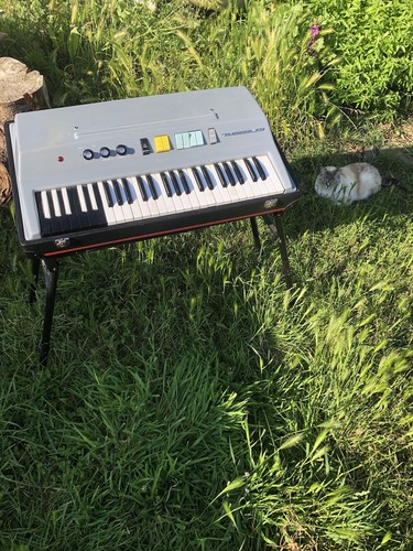 Orgue elka panther - orgue,